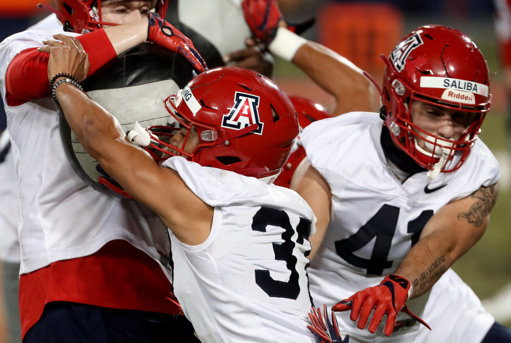 Arizona Wildcats